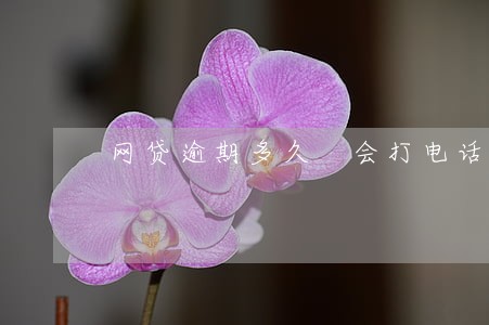 网贷逾期多久 会打电话 网贷逾期多久 会打电话